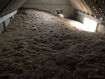 seno/sláma - 2