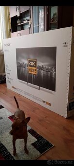 Sony Bravia - 2