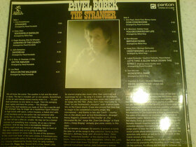 PAVEL BOBEK - The stranger - 2