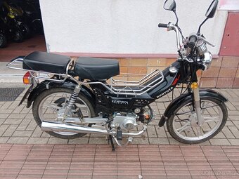 Moped Kentoya Twincup 50ccm - 2