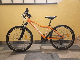 Kolo Superior 24" - 2
