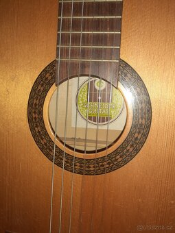 Kytara Schneider - 2