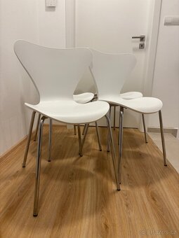 Jídelní židle ALBA (Sconto) - 2