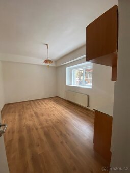 Pronájem bytu 2+1 Trmice - 2