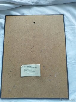 Obraz moře měď - 2