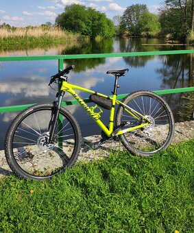 Specialized Rockchopper 29" velikost M - 2