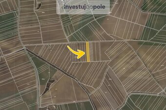 Prodej pole v k.ú. Pavlovice u Kojetína - 2