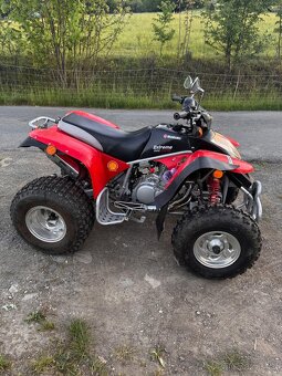 Suzuki Baja Extreme 300 - 2