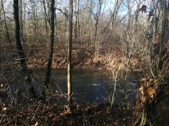 Olomouc řepčín zahrádka 455 m2 - 2