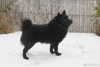 Nabídka krytí - Šiperka s PP - 2