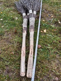 BŘEZOVÉ KOŠTĚ - 2