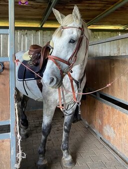 Hodný valášek i pro dítě - 2