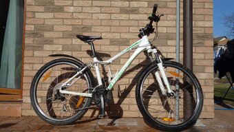 2018 Giant "26" - 2