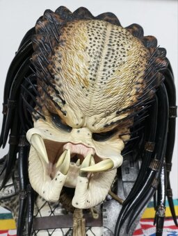 Busta Predátor. Sideshow. - 2