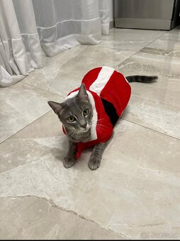 DARUJI KOCOURKA – PRAHA (SPĚCHÁ) - 2