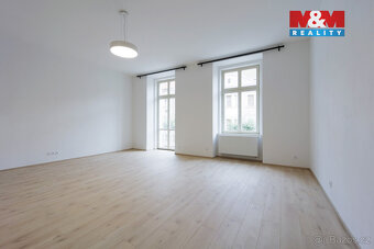 Pronájem bytu 1+kk, 55 m², Plzeň, ul. Americká - 2