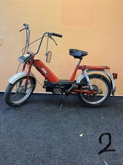 Babeta-různé druhy - 2