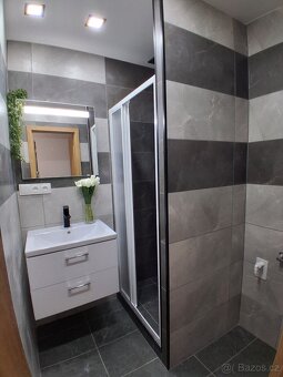 Prodej kompletně zrekonstruovaný byt 1+1 33m2 s lodžií 4m2 - 2