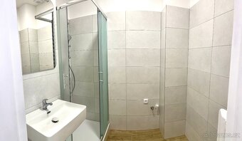 Pronájem vybaveného 1+1 po rekonstrukci,39 m² s balkonem - 2