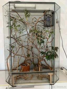 Terarium pro chameleona + vybavení - 2