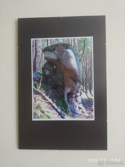 Obrazy - viz foto - 2