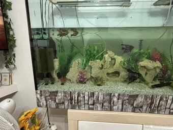 akvarium se vsim - 2