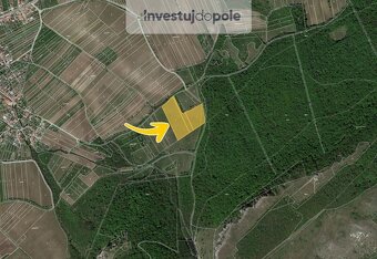 Prodej louky v k.ú. Horní Věstonice - 2