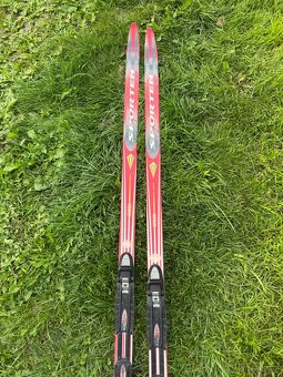 Běžecké lyže Sporten 180 cm - 2
