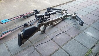 barnett predator 165 lb - 2
