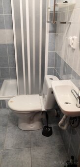 Pronajmu zařízený byt 1kk s balkonem - 2