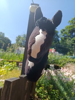 Hobby horse - 2