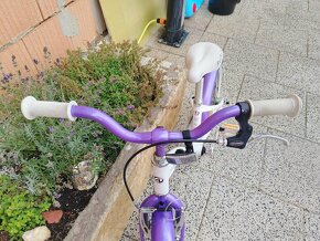 Author Bello 16 2019 - 2