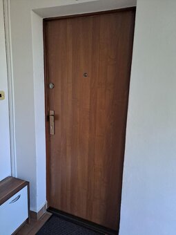 Vchodove dveře - 2