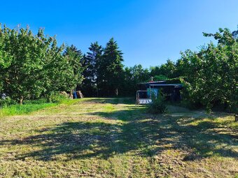 Pronájem zahrady - 2