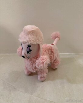 Chodící pudlík- pejsek - 2