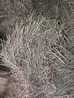 Nabízím slámu - 2