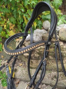 Anatomická uzdečka QHP - 2