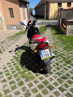 Skutr Kentoya 50 - 2