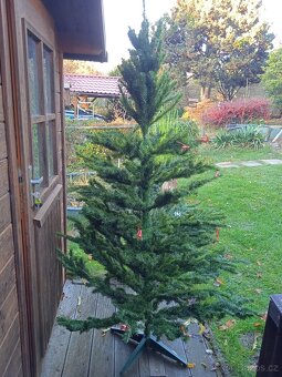 Vánoční stromek smrček - 2