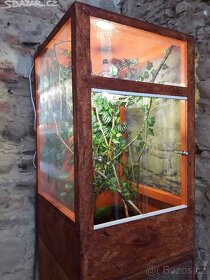 Nové kompletně vybavené terárium pro chameleonka - 2