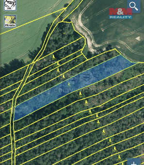 Prodej lesa, 3720 m², Všehrdy - 2