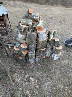 Palivové dřevo - 2