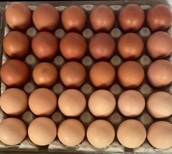 DOMÁCÍ VAJÍČKA - 2