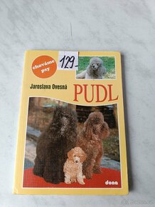 Afghánský chrt pudl westik bišon frise retrivr - 2