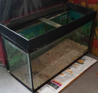 Akvarium - 2