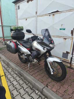 Suzuki xf 650 freewind - 2