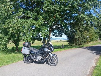 Suzuki DL 650 V-strom - 2
