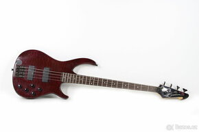 Kytara PEAVEY Millennium AC BXP - 2