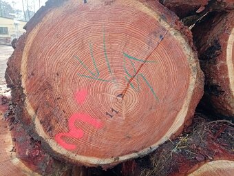 Maxi modřínové trámy - 2