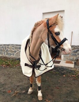PONY PRONÁJEM - 2